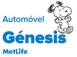2003-Auto-Genesis