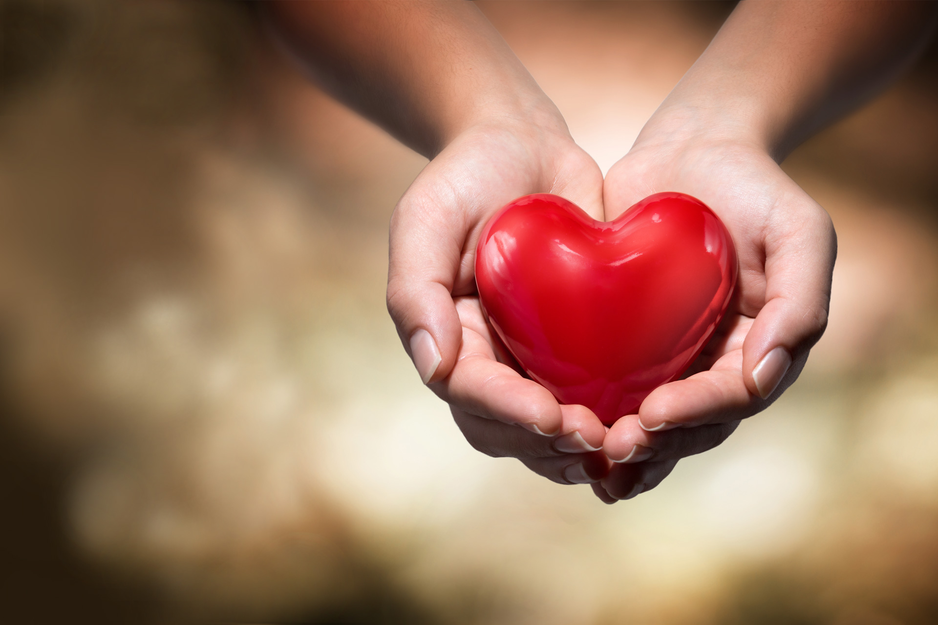 maos-coracao-1920x1280